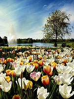 Chicago Botanic Garden, Glencoe