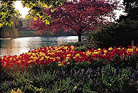 Chicago Botanic Garden