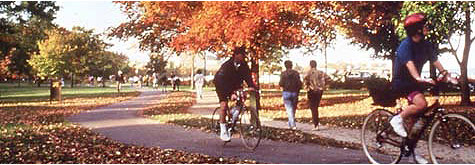 Chicago's North Shore CVB