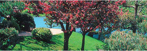 Chicago's North Shore CVB