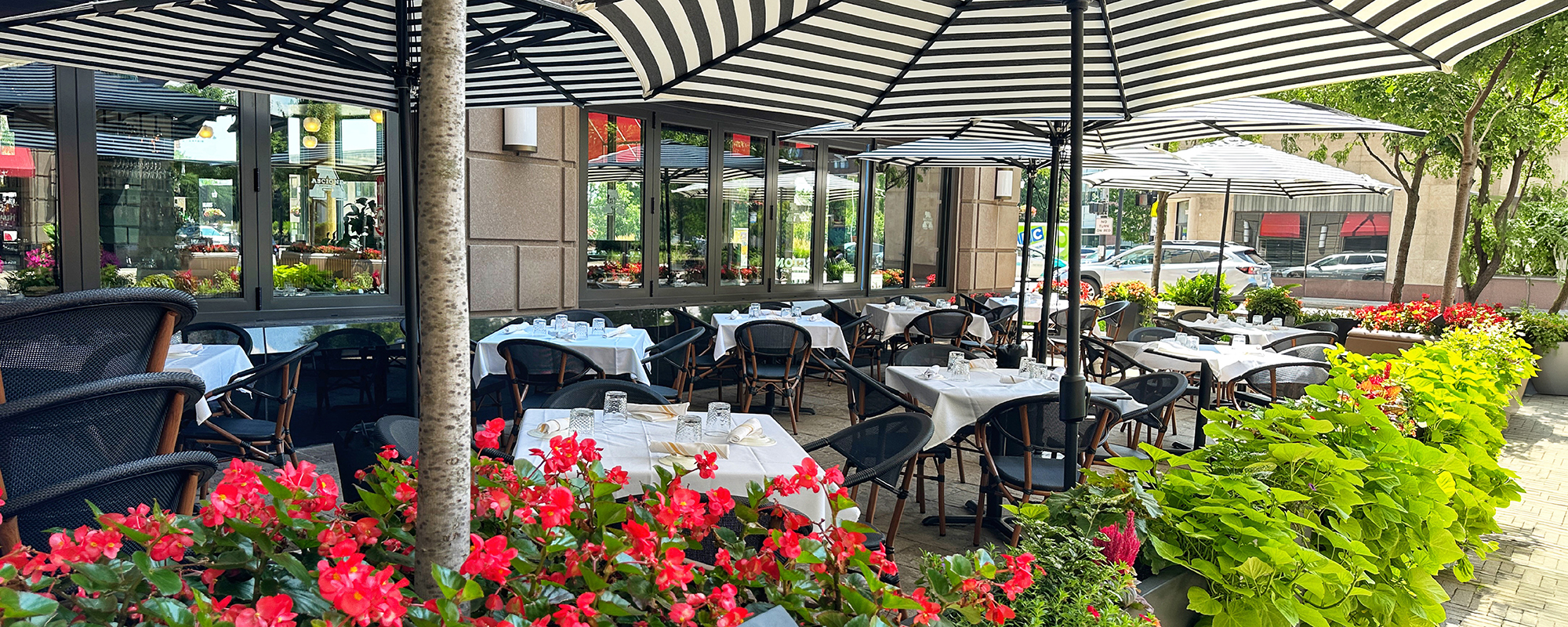 Photo: Ascione Bistro Awaits