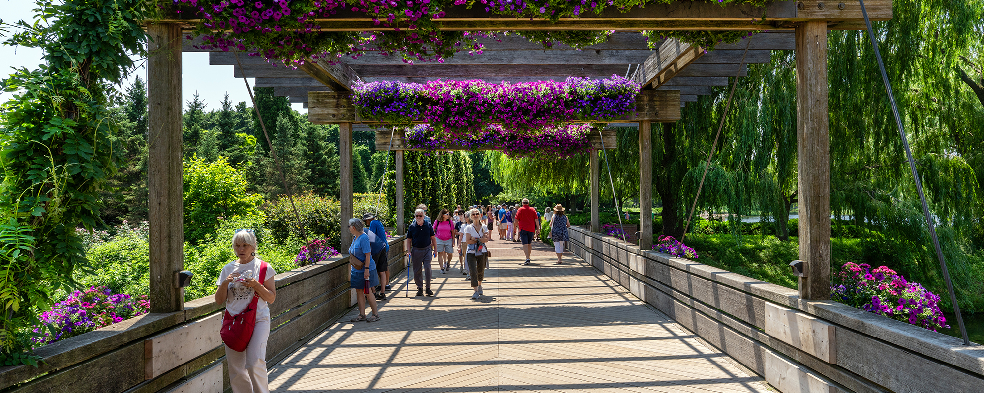 Photo: Discover Chicago Botanic Garden