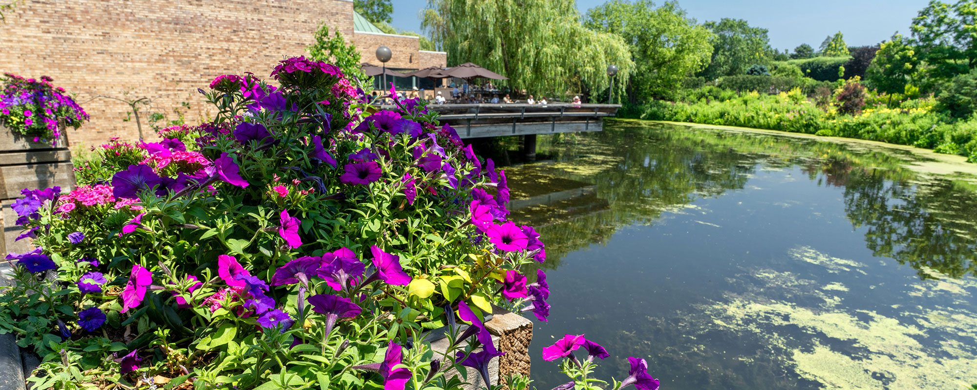 Photo: NORTH SHORE SHOWCASE 2026