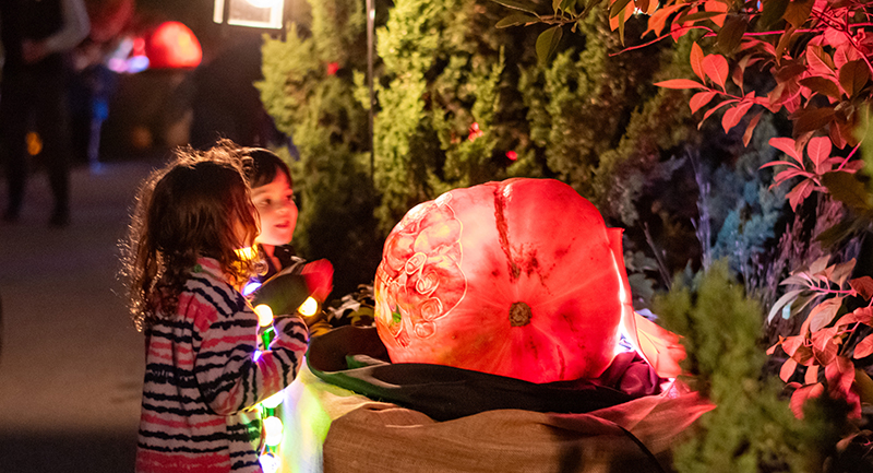 Night of 1'000 Jack-o-Lanterns, Glencoe