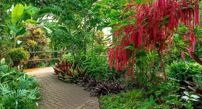 Chicago Botanic Garden, Glencoe